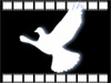 film logo